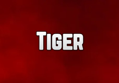 Tiger Casino